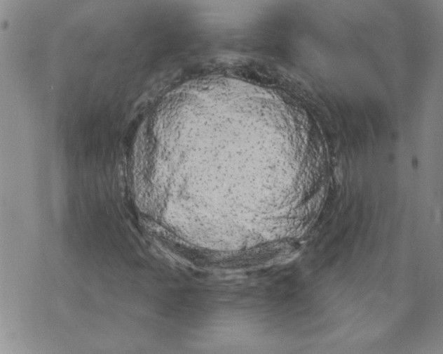 X0000073731397200608311833