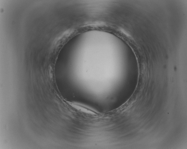 X0000073731398200608311833