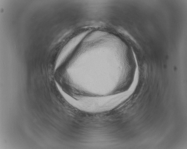 X0000073731399200608311833