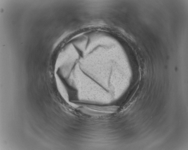 X0000073731400200608311833