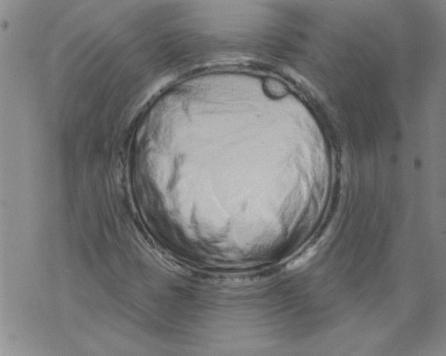 X0000073731401200608311833