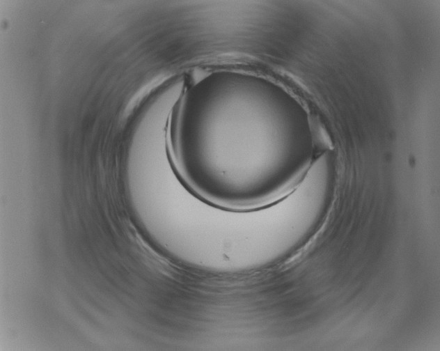 X0000073731402200608311833