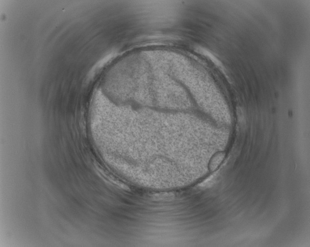 X0000073731403200608311833