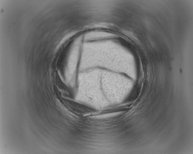 X0000073731404200608311833