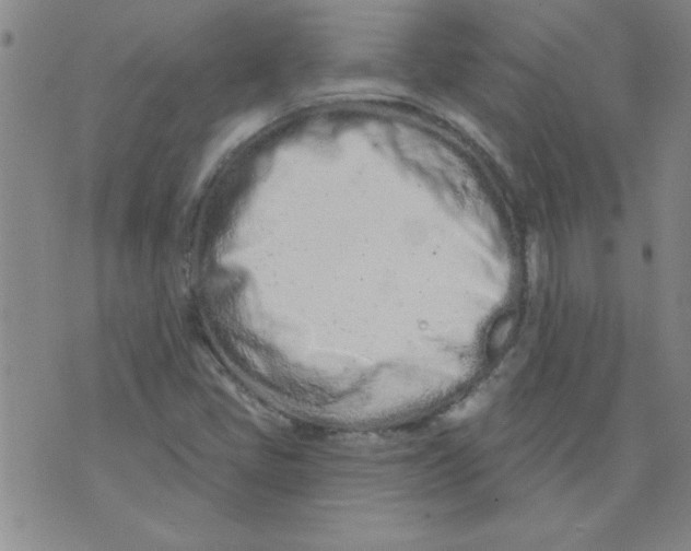 X0000073731405200608311833