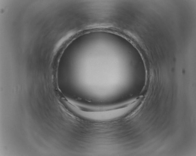 X0000073731406200608311833