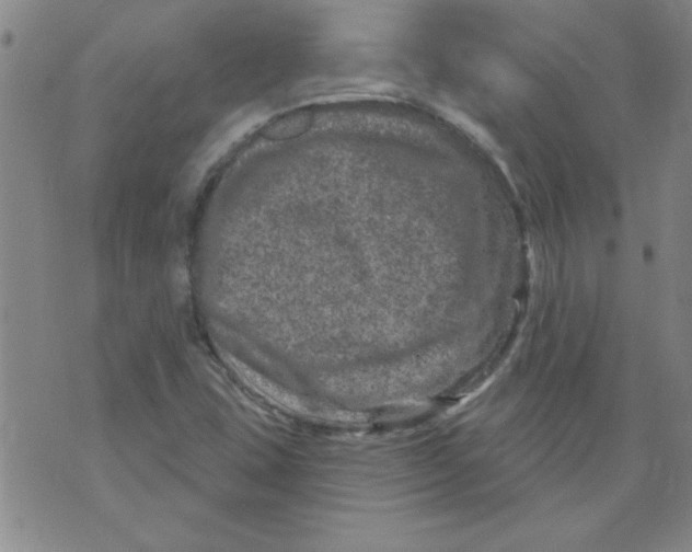 X0000073731407200608311833