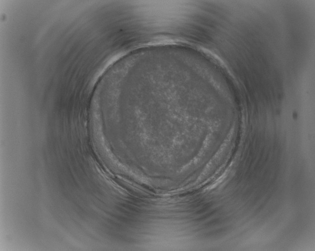 X0000073731409200608311833