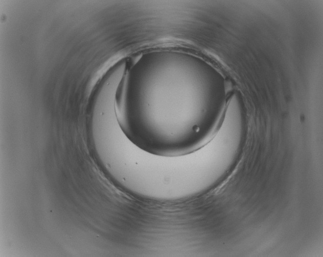 X0000073731410200608311833