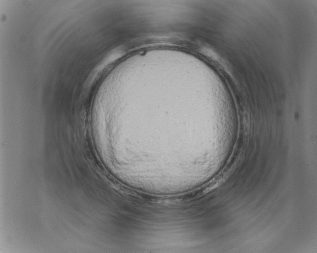 X0000073731411200608311833