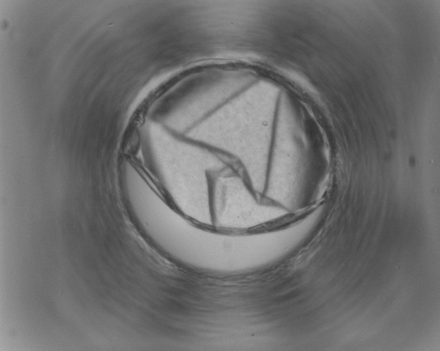 X0000073731412200608311834