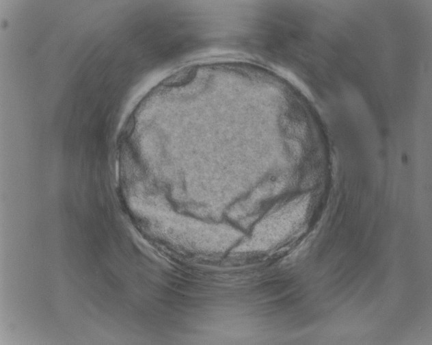 X0000073731413200608311834