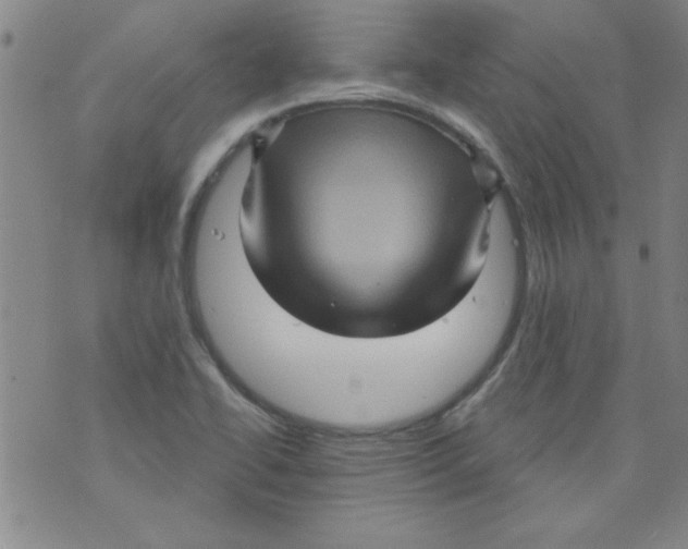 X0000073731414200608311834