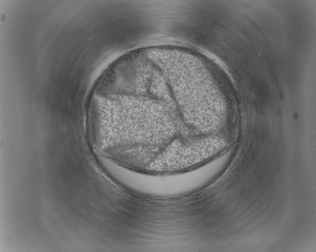 X0000073731415200608311834