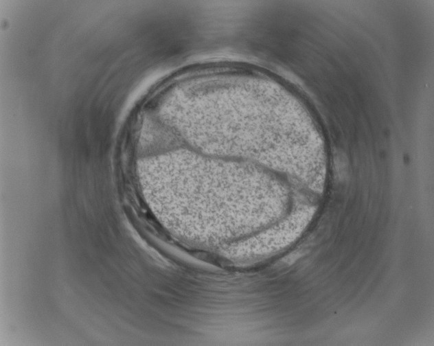 X0000073731416200608311834