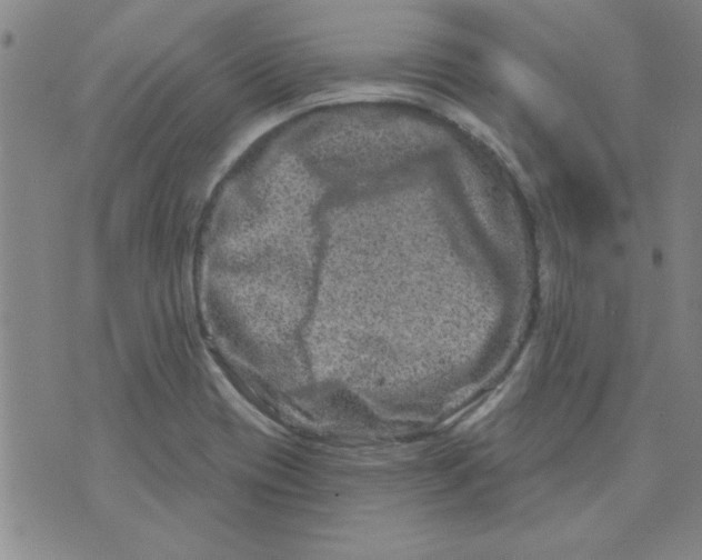 X0000073731417200608311834