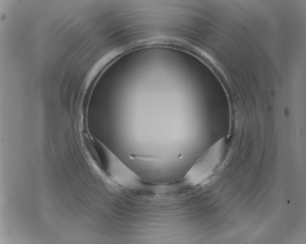 X0000073731418200608311834