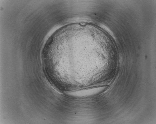 X0000073731419200608311834