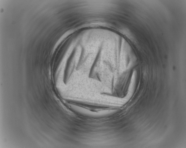 X0000073731420200608311834