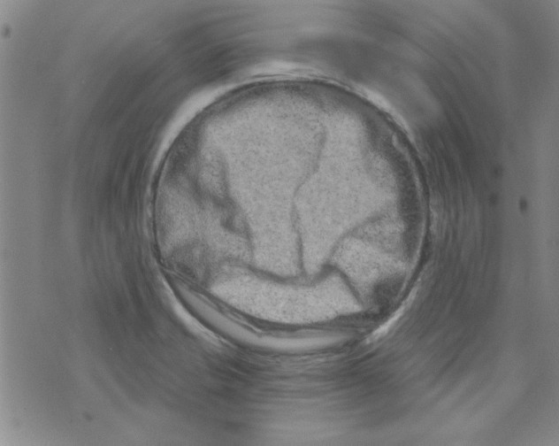 X0000073731421200608311834