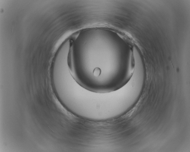 X0000073731422200608311834