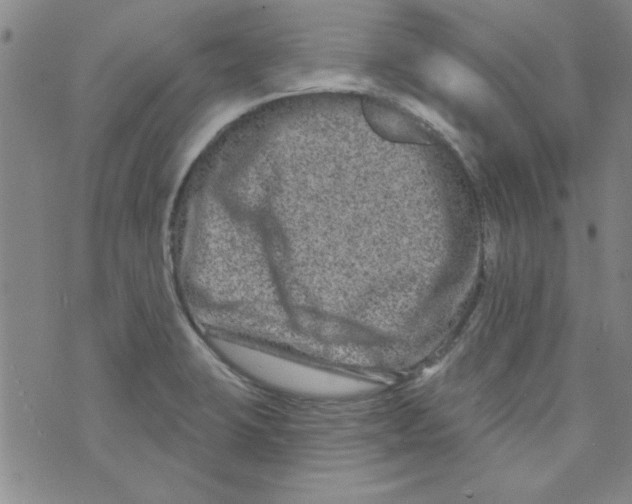 X0000073731423200608311834