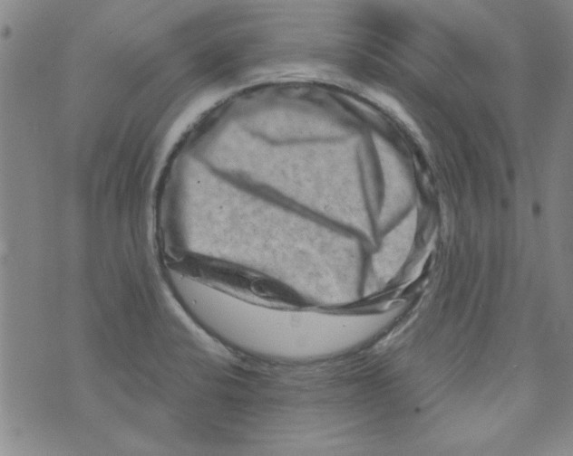 X0000073731424200608311834