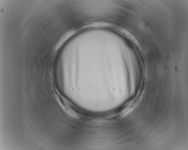 X0000073731425200608311834