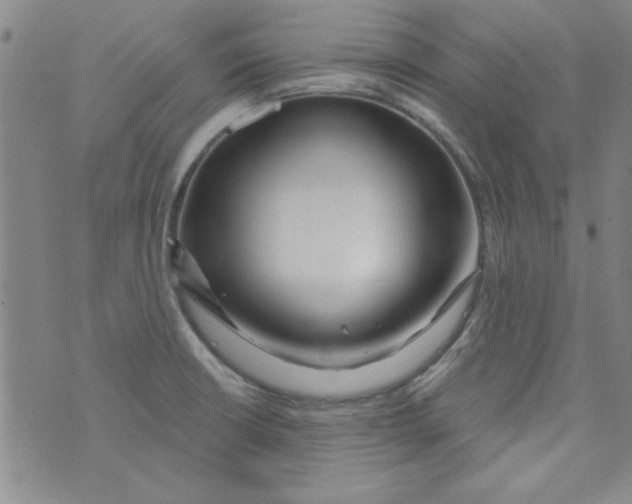 X0000073731426200608311834