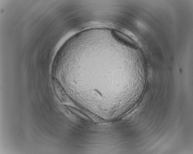 X0000073731427200608311834