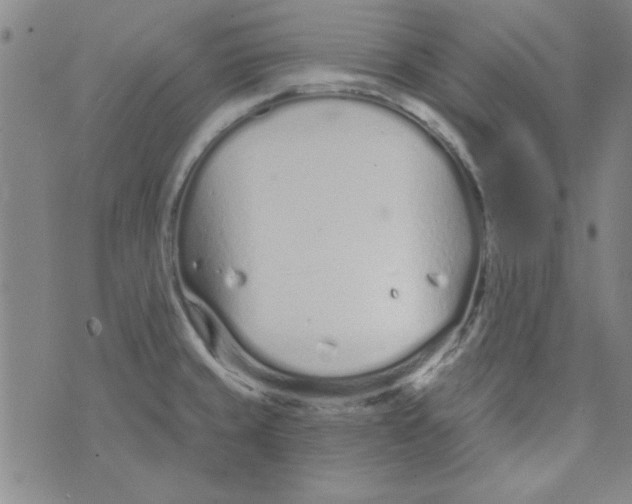 X0000073731429200608311834