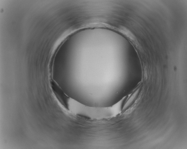 X0000073731430200608311834