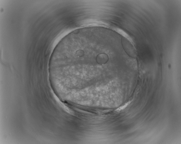 X0000073731431200608311834