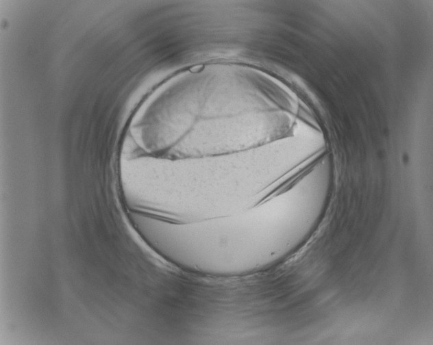 X0000073731432200608311834