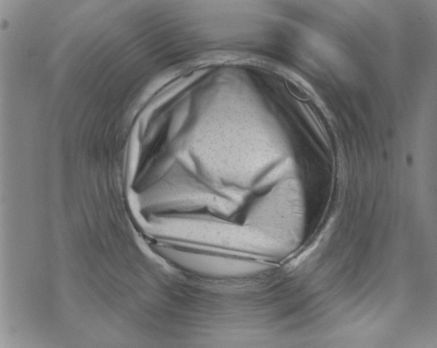 X0000073731433200608311834