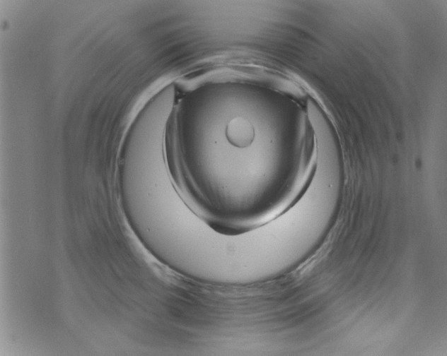 X0000073731434200608311834