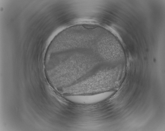 X0000073731435200608311834