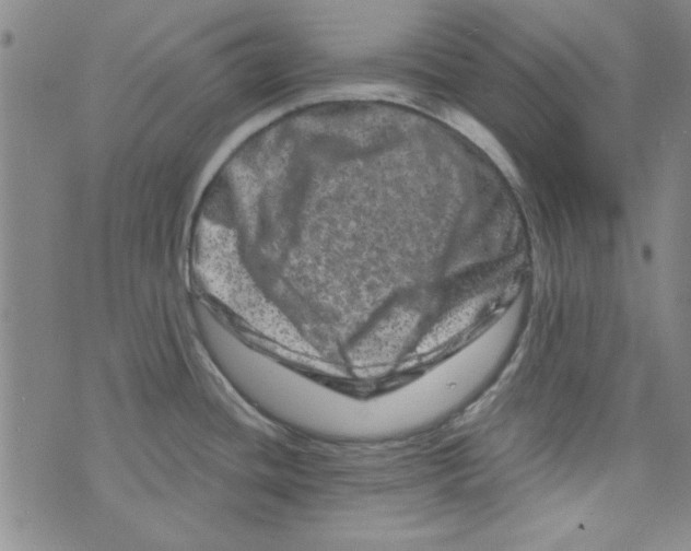 X0000073731436200608311834