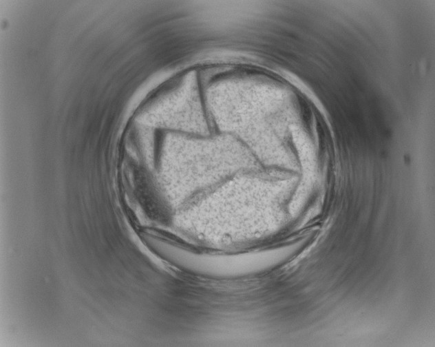 X0000073731437200608311834