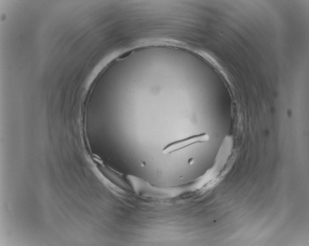 X0000073731438200608311834