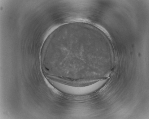 X0000073731439200608311834