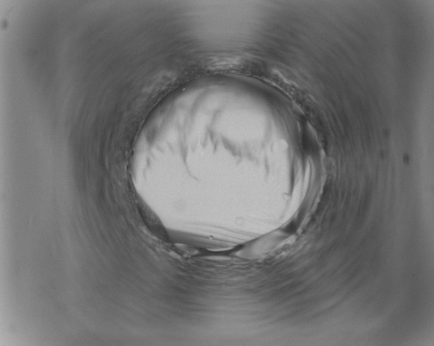 X0000073731441200608311833