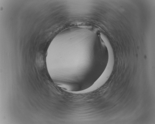 X0000073731442200608311833