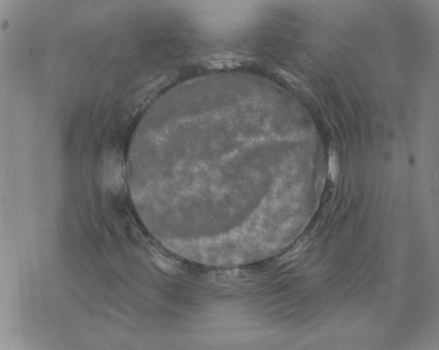 X0000073731444200608311833