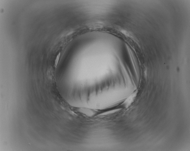 X0000073731445200608311833