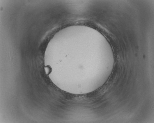 X0000073731447200608311833