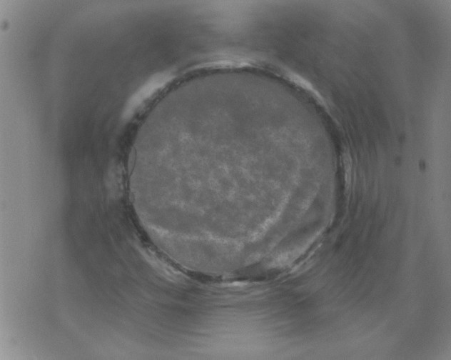 X0000073731448200608311833