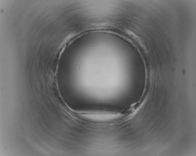 X0000073731449200608311833