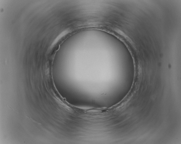 X0000073731450200608311833