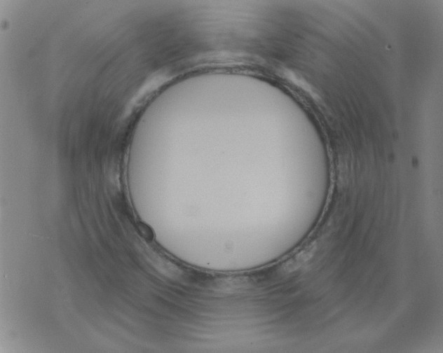 X0000073731451200608311833